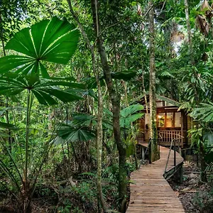 Resort Wilderness, Daintree